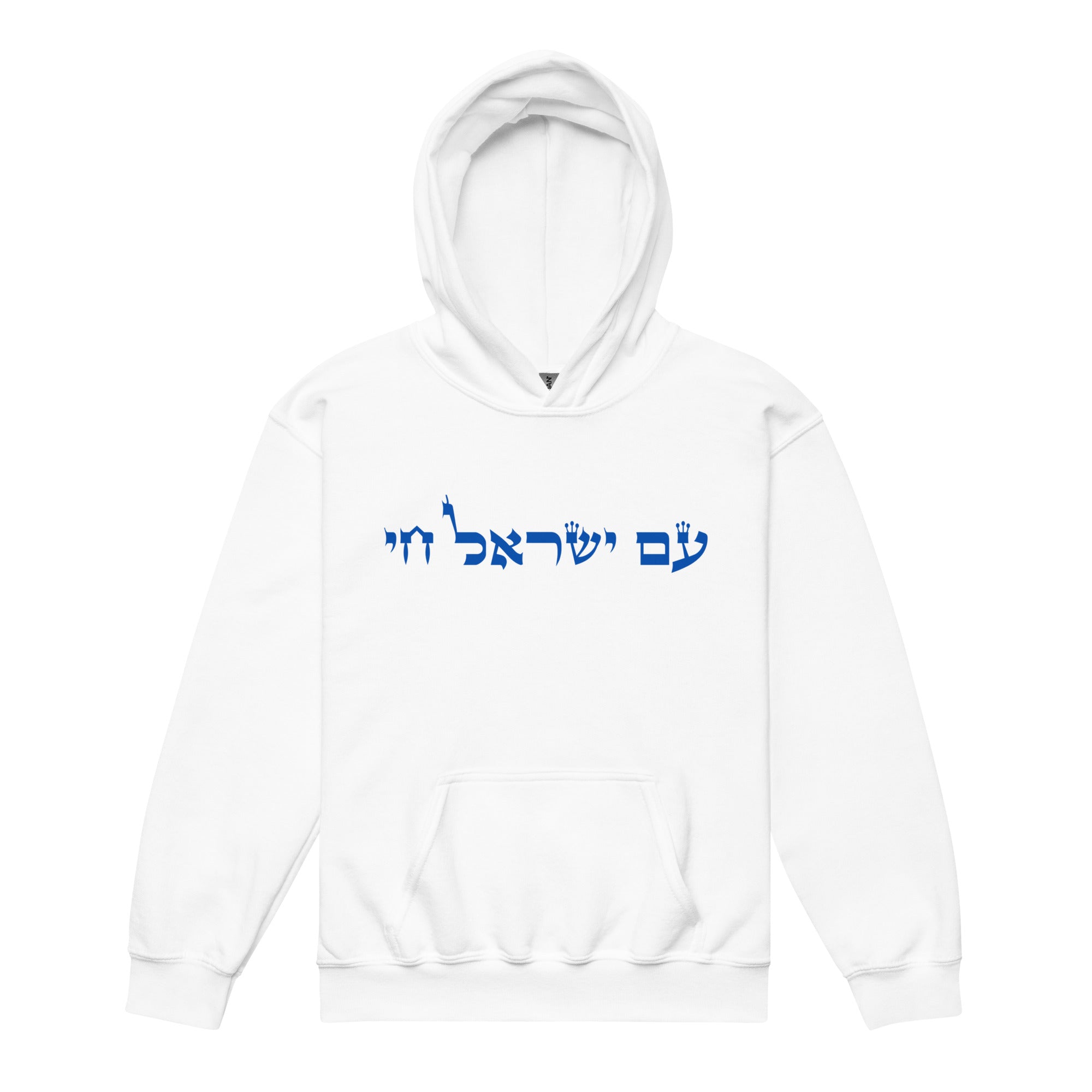 Am Yisrael Chai Youth Hoodie